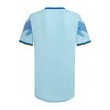 Boca Juniors 2023-24 Third Shirt